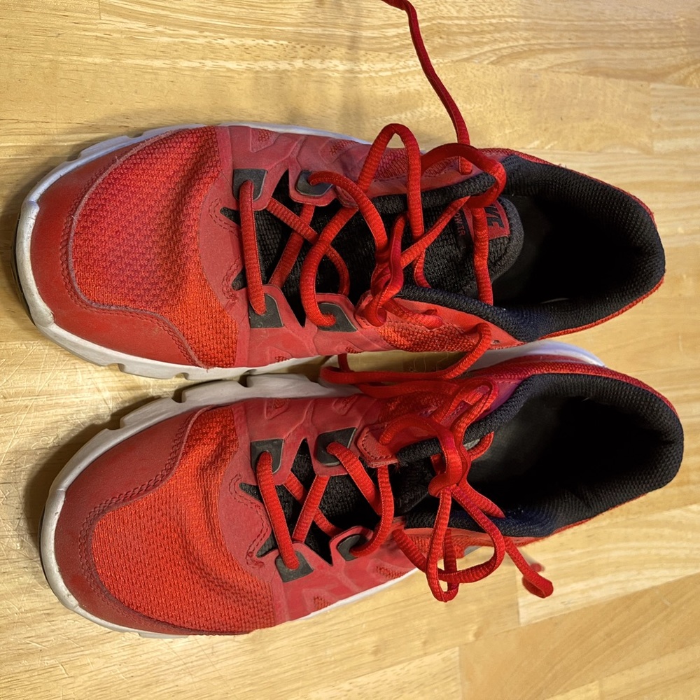Nike Flex Runner Shoes